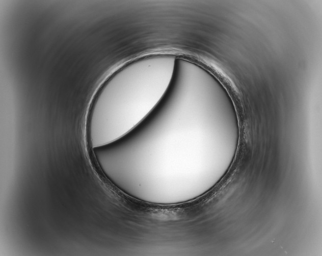 X0000094321229200711021107