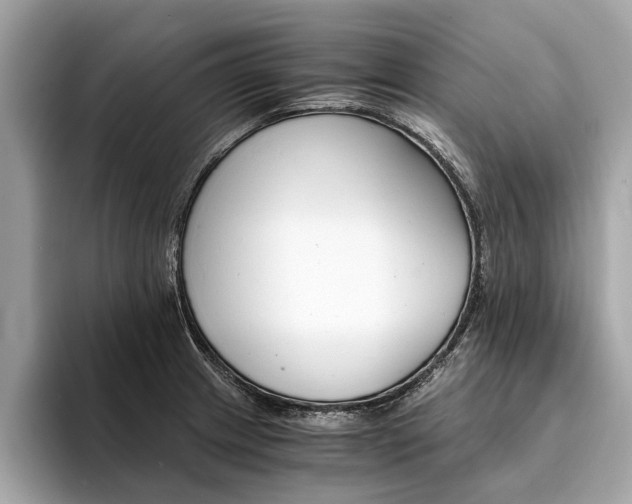 X0000094321233200711021107