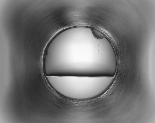 X0000094321236200711021107
