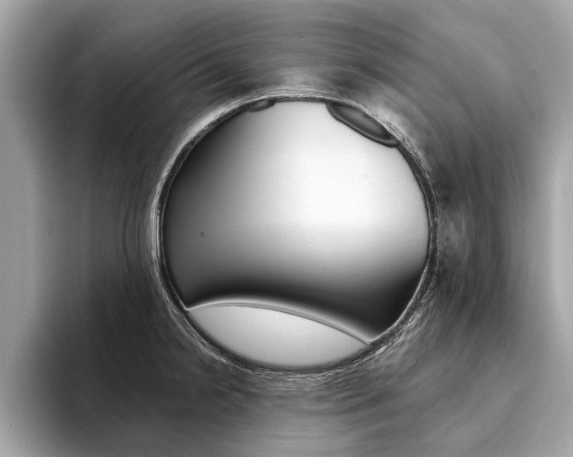 X0000094321238200711021107
