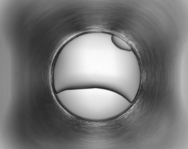 X0000094321239200711021107