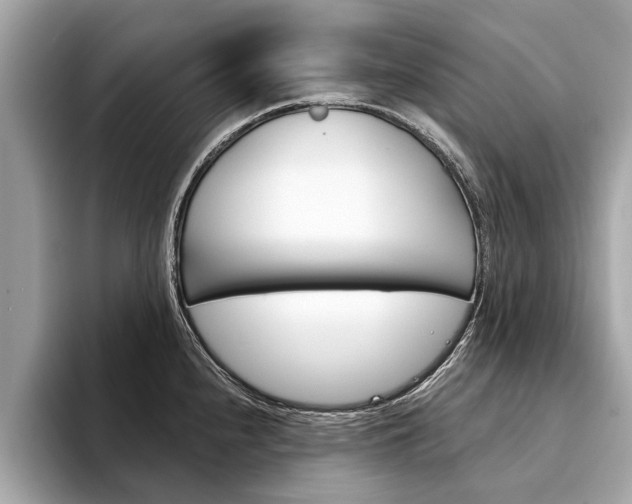 X0000094321240200711021107