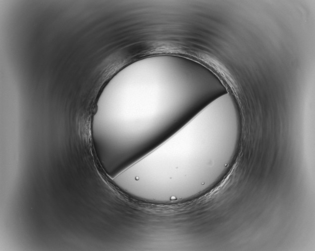 X0000094321241200711021107