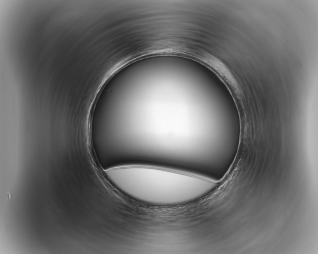 X0000094321242200711021107