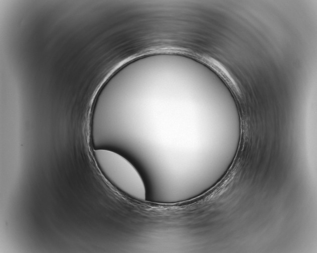 X0000094321244200711021107