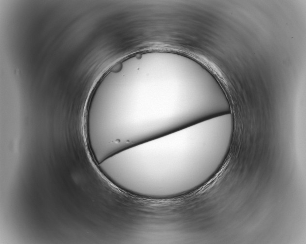 X0000094321247200711021107