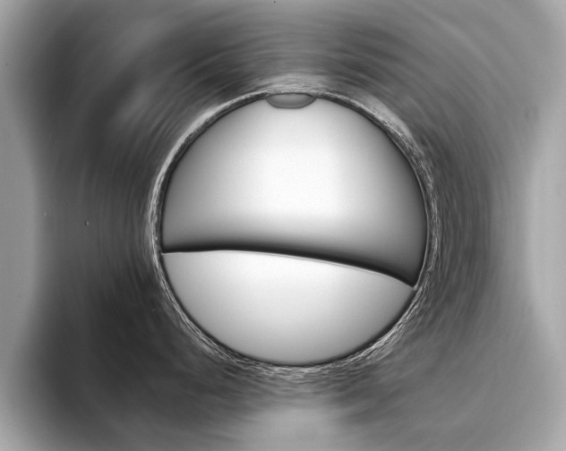X0000094321248200711021107