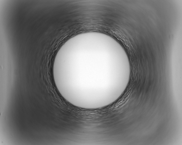 X0000094321249200711021106