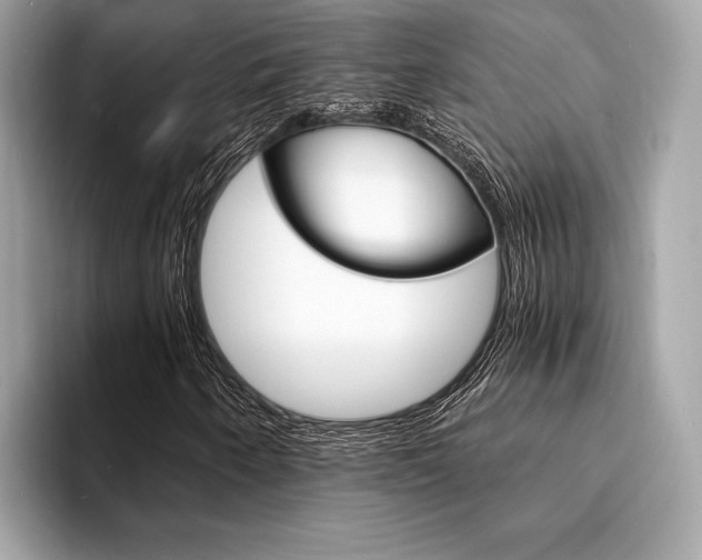 X0000094321250200711021106