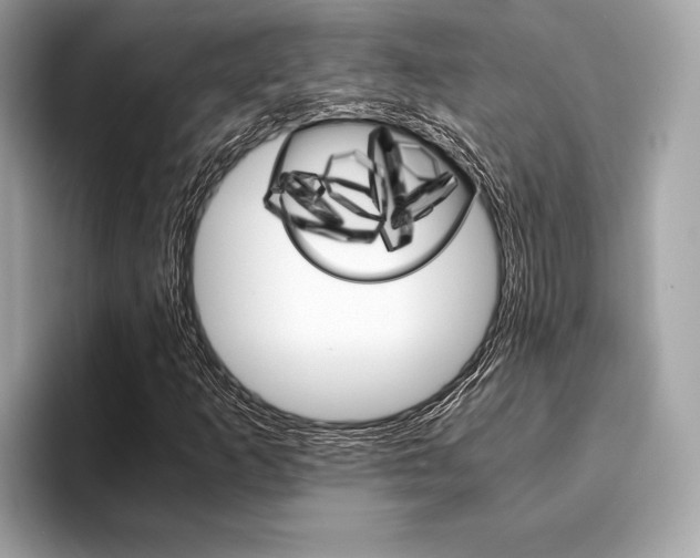 X0000094321253200711021106
