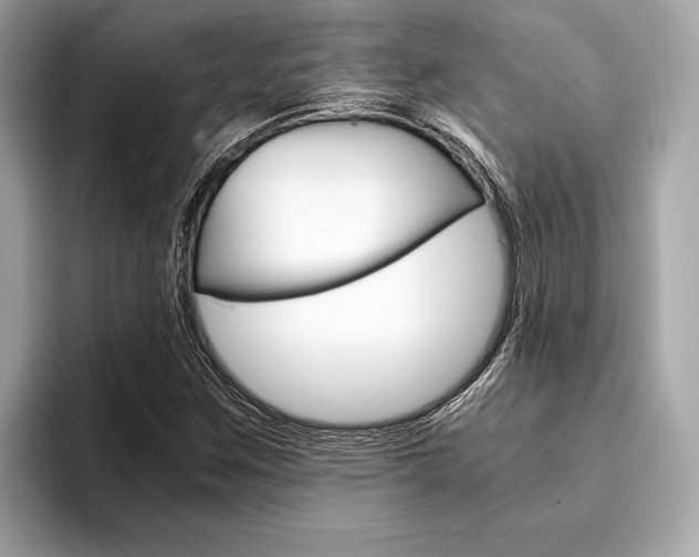 X0000094321259200711021106