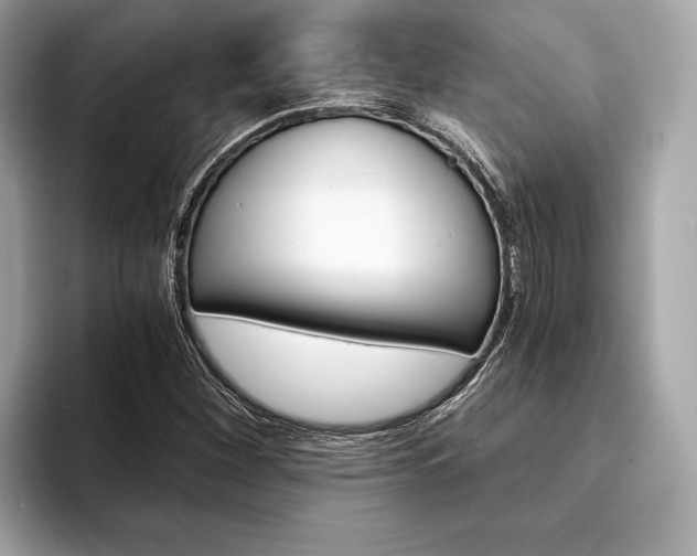 X0000094321260200711021106