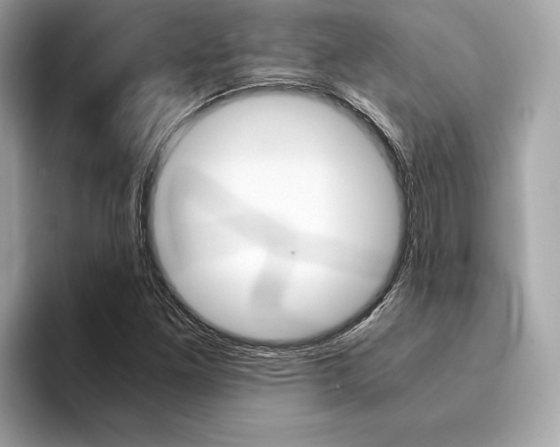 X0000094321261200711021106