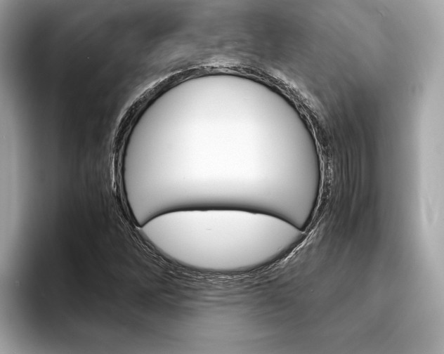 X0000094321262200711021106