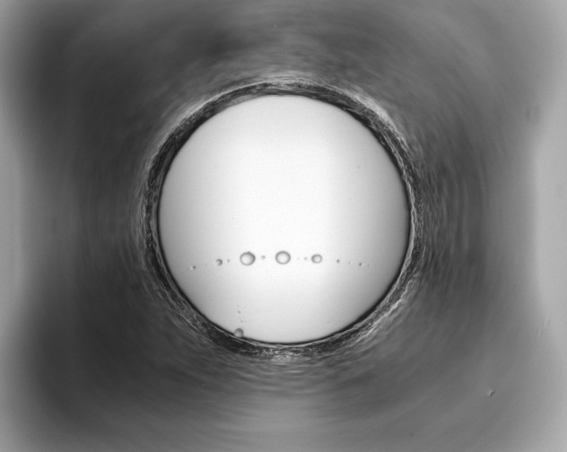 X0000094321263200711021106