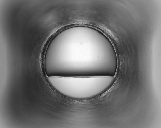X0000094321264200711021106