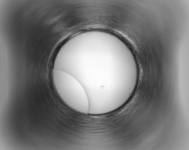 X0000094321266200711021106