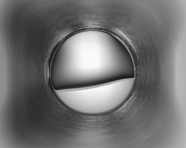 X0000094321269200711021106