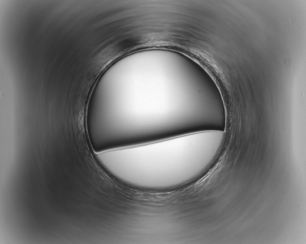 X0000094321273200711021106