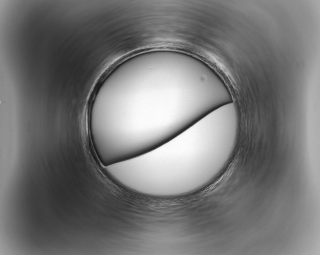 X0000094321275200711021106