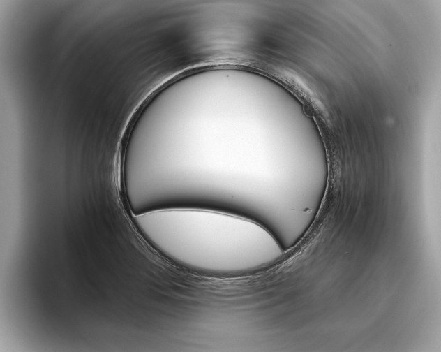 X0000094321276200711021106