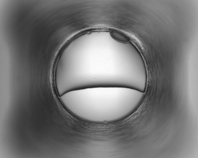 X0000094321279200711021106
