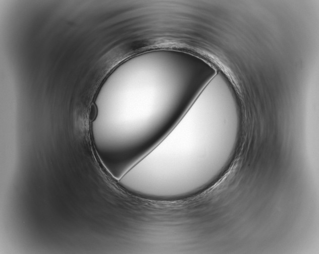 X0000094321281200711021106