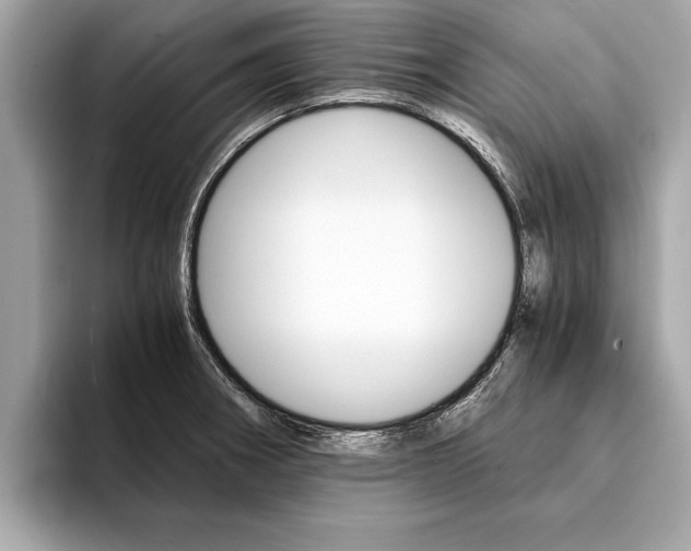 X0000094321282200711021106