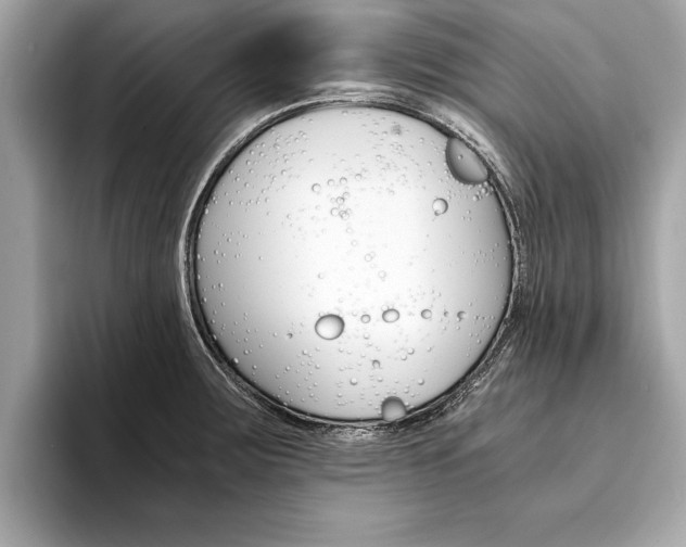 X0000094321283200711021106