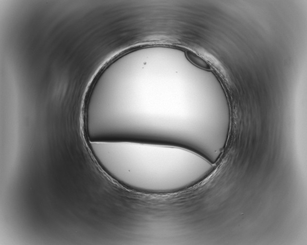 X0000094321288200711021106