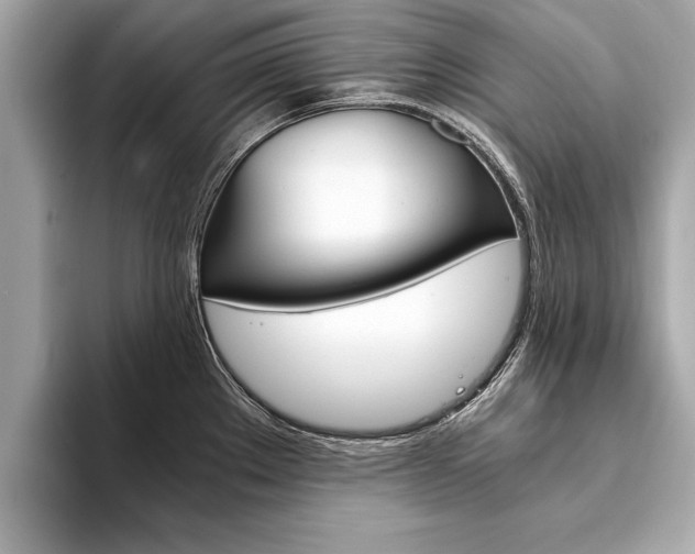 X0000094321289200711021106
