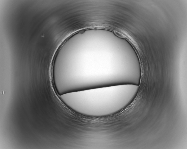 X0000094321291200711021106