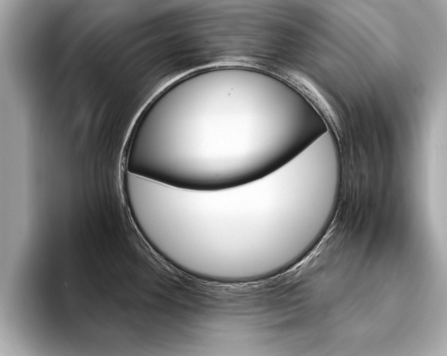 X0000094321292200711021106
