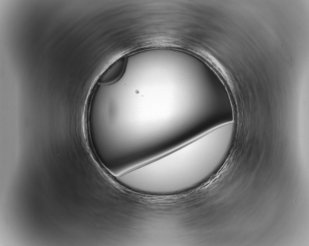 X0000094321293200711021106