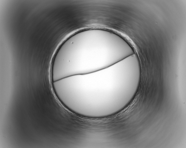 X0000094321295200711021106