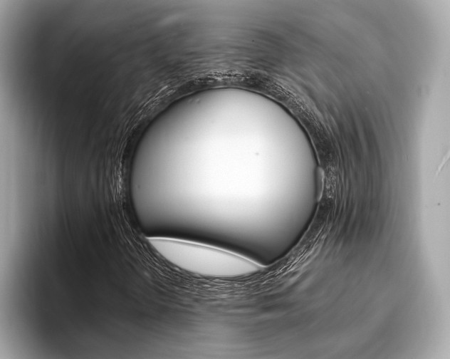 X0000094321298200711021105