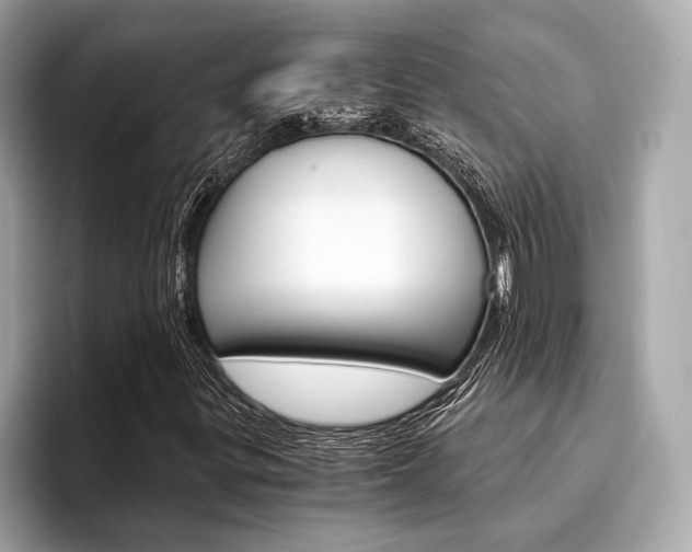X0000094321299200711021105