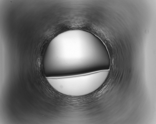 X0000094321300200711021105