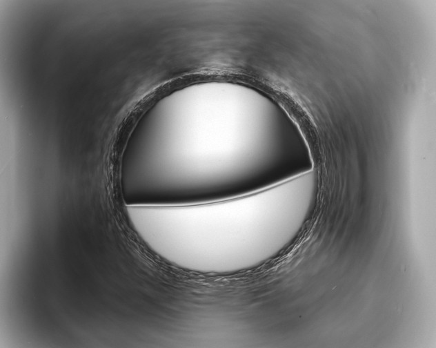 X0000094321304200711021105