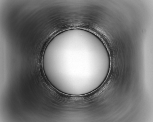 X0000094321305200711021105