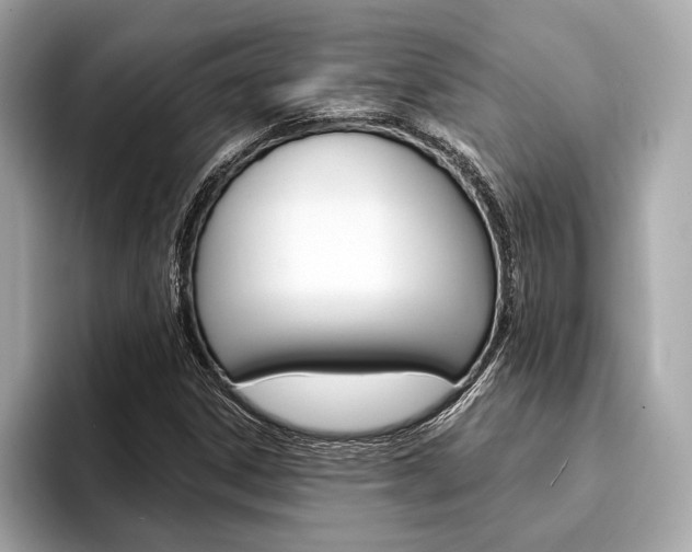 X0000094321306200711021105