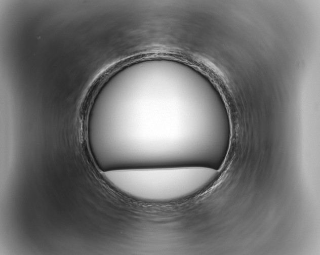 X0000094321310200711021105