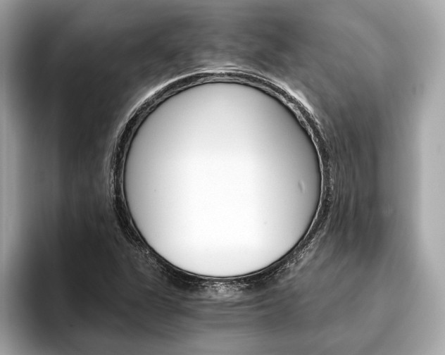 X0000094321311200711021105