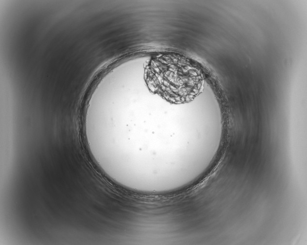 X0000094321314200711021106