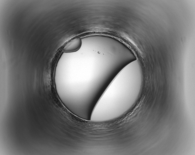 X0000094321315200711021106