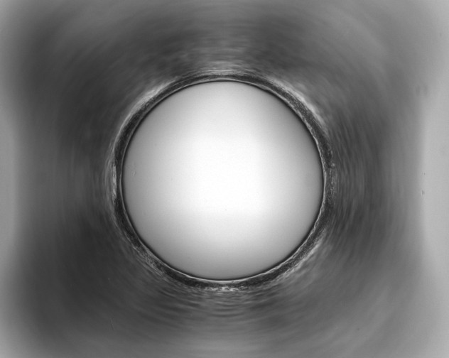 X0000094321317200711021106