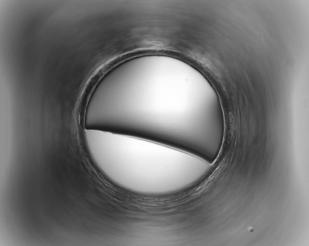 X0000094321318200711021106
