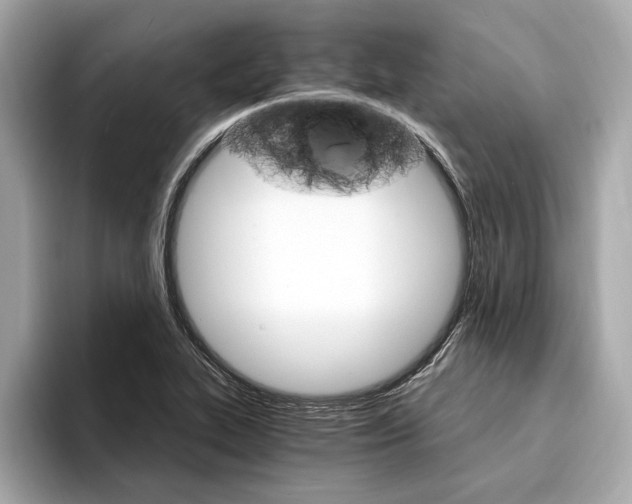 X0000094321319200711021106