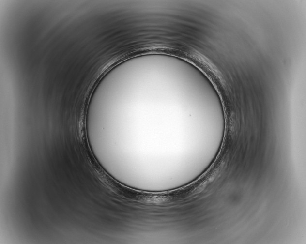 X0000094321321200711021106