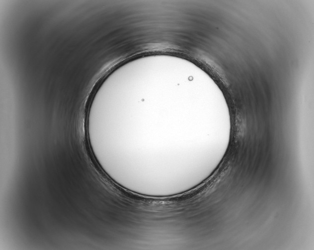X0000094321322200711021106